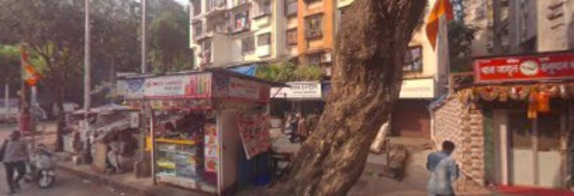 Advanced Dental Care – Dr. K. V. Bhimani