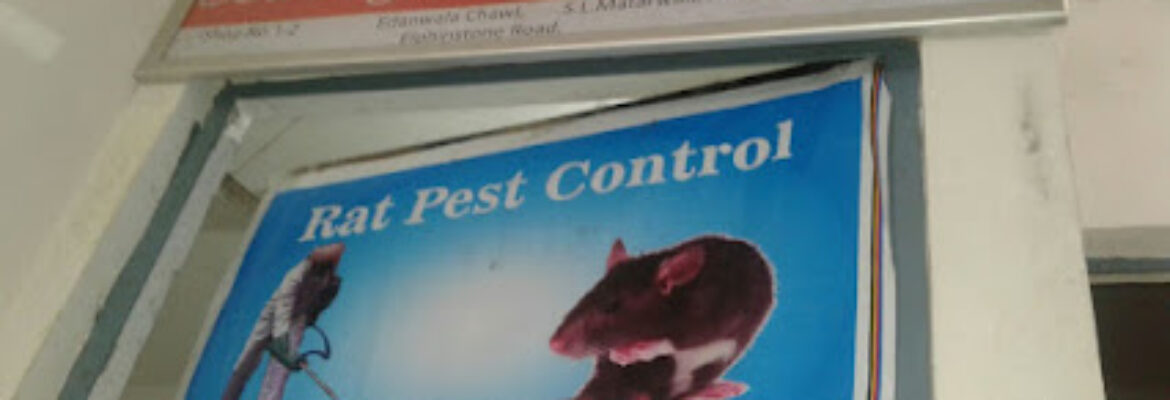 Bed Bug Herbal Pest Control