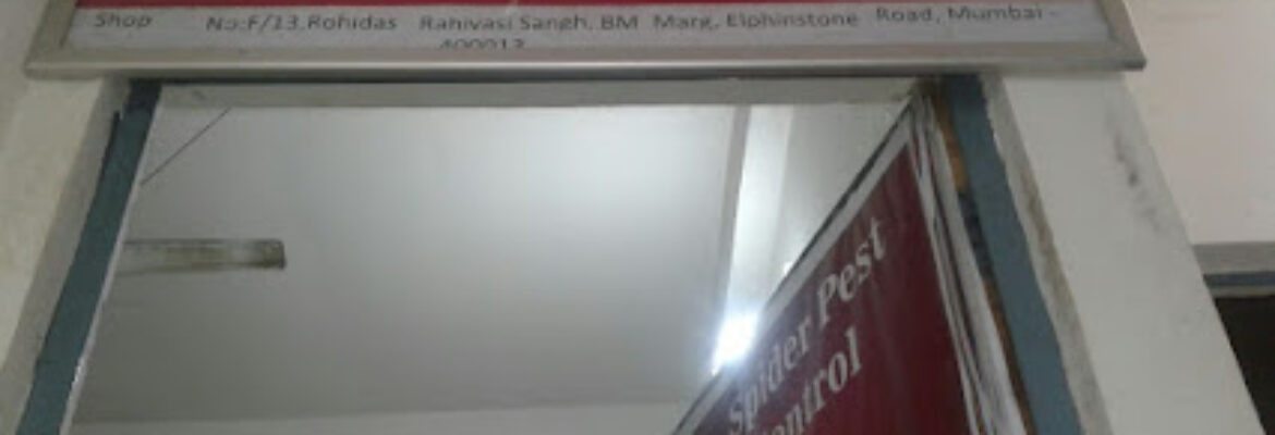 Cockroach Organic Pest Control