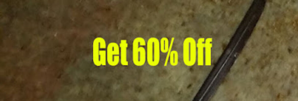 Cockroach Pest Control Mahim