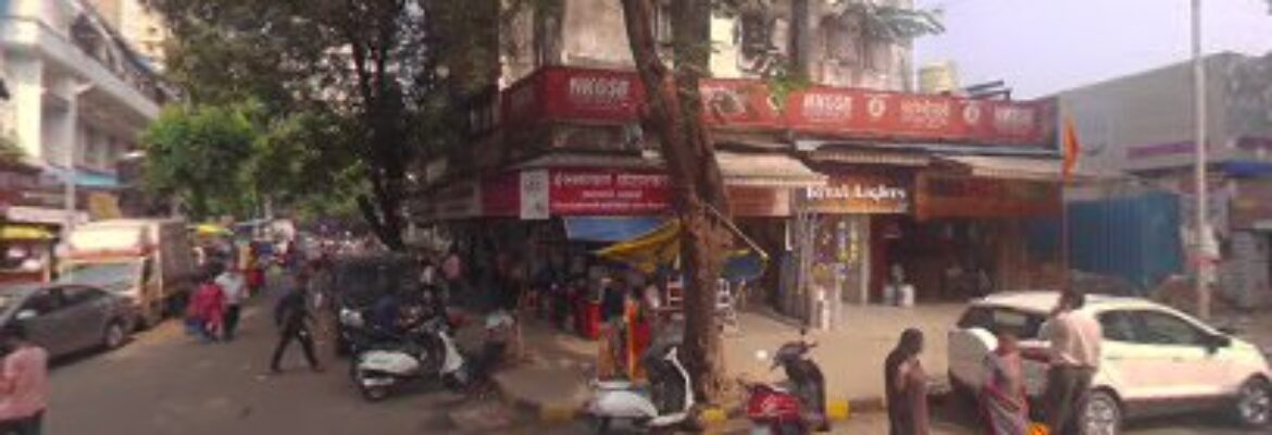 Mayur Traders