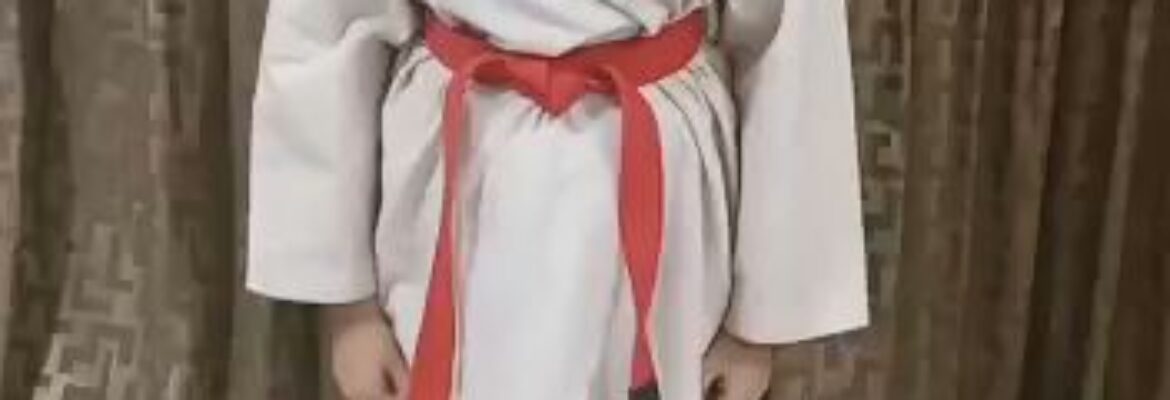 PHOENIX MARTIAL ARTS ACADEMY