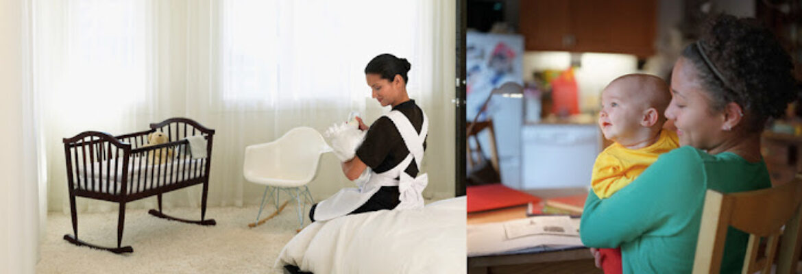Perfect Domestic Services