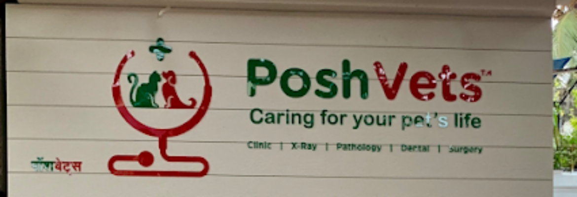 Posh Vets