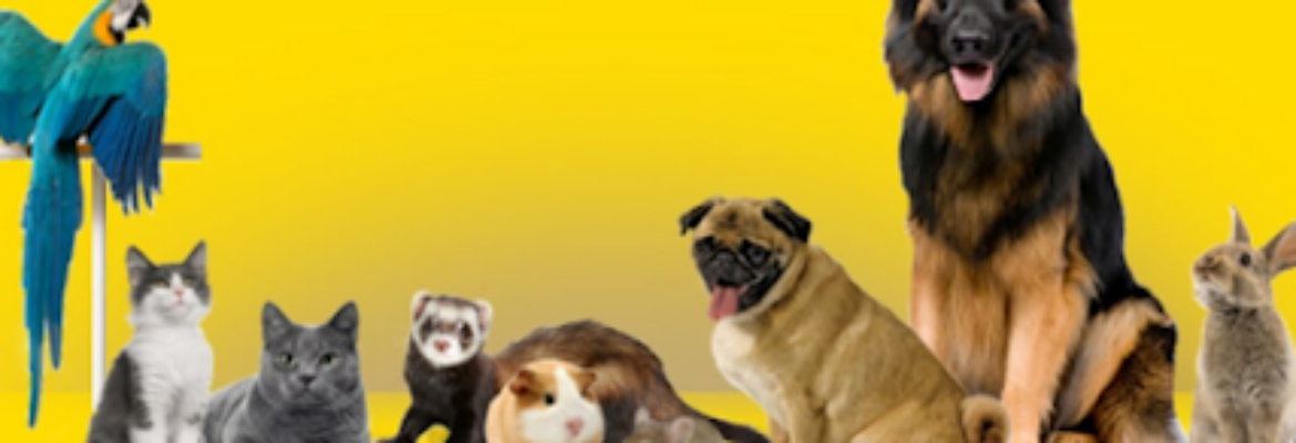 Prolife Veterinary Clinic