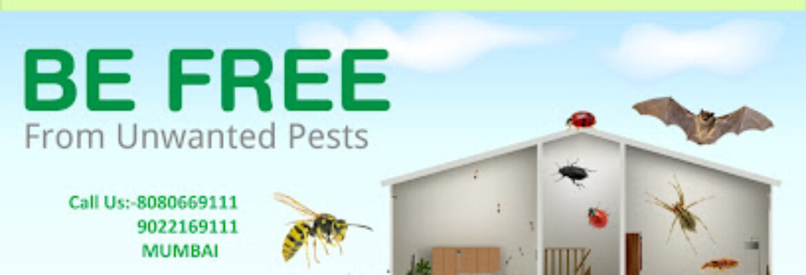 RCH PEST CONTROL & CLEANING SERVICES