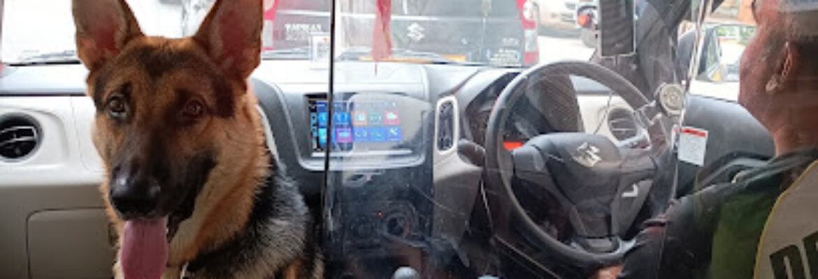 SDAASH PET SERVICES TOURS AND TRAVELS