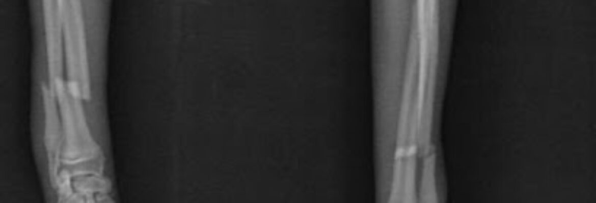 Shivaji Park Animal Clinic & Surgical Care Centre