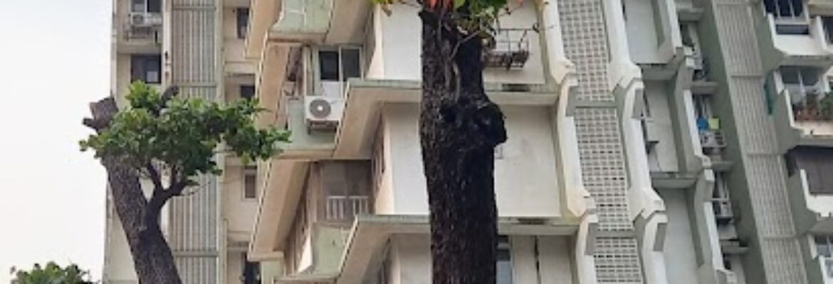 Silver Beach Apartment