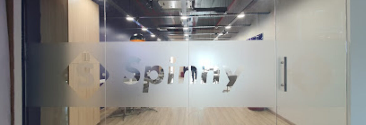 Spinny Car Hub – Dadar, Mumbai
