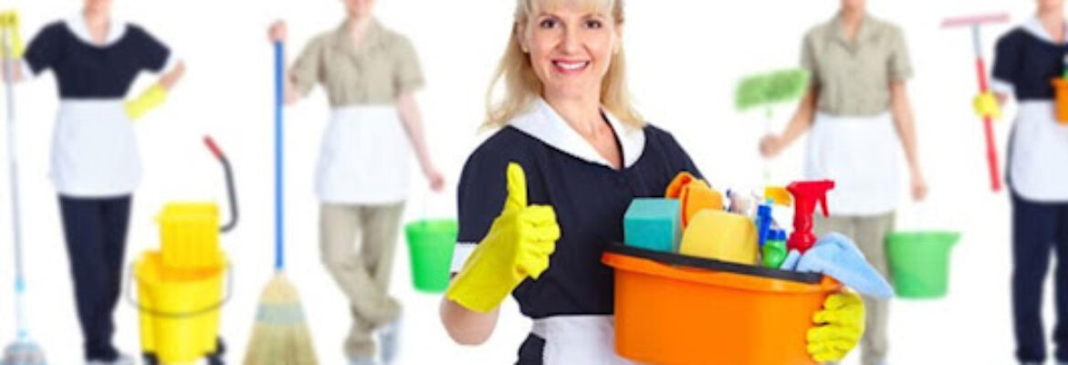 World Care Taker